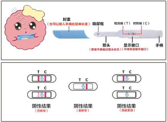 验孕棒两道杠，为什么妊娠试验却显示未怀孕？