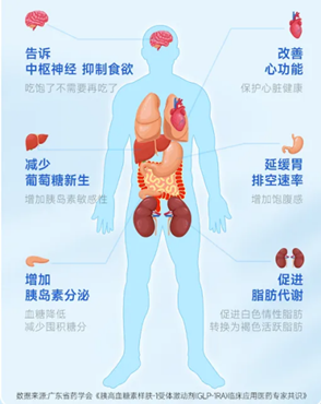 限量100支！青岛诺德重磅引入司美格鲁肽减重版