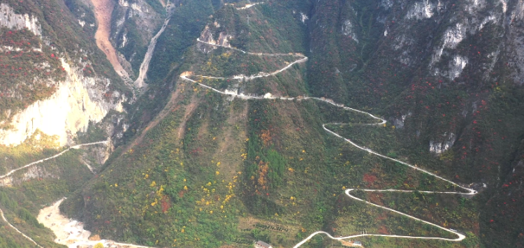 重庆巫山“好品”出山记：乡村振兴的特色密码