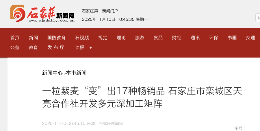 石家庄市栾城区：紫小麦“17变” 深加工订单爆满