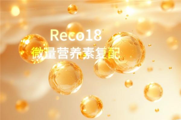 面对孕育的风险，试管备孕要做什么？