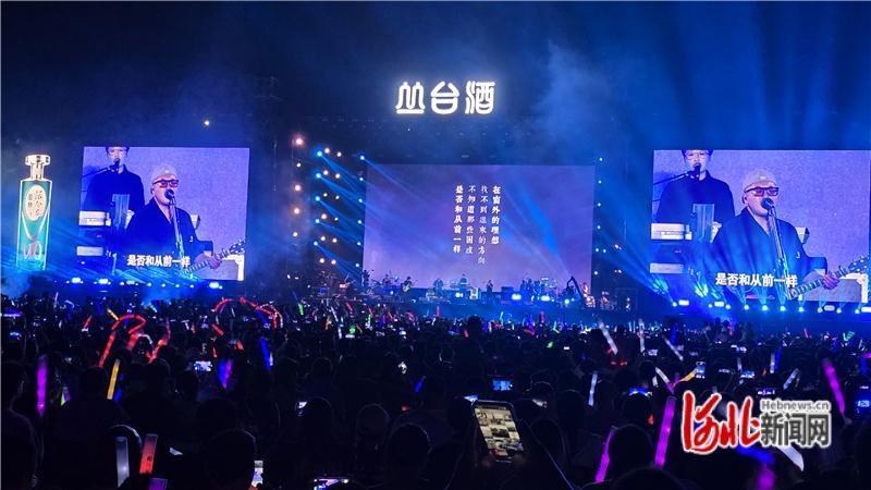 定州音乐嘉年华激情开唱