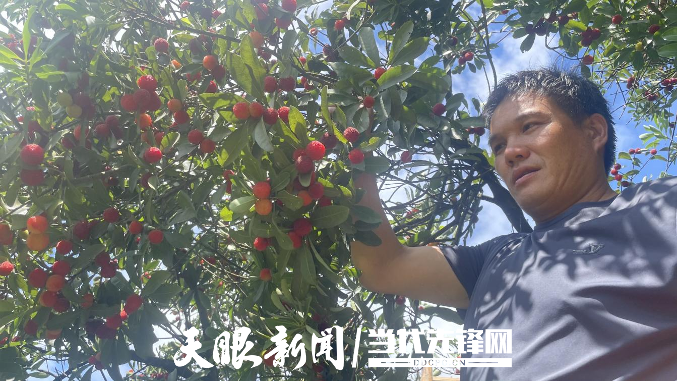 遵义市赤水市元厚镇：水果产业带来甜蜜生活