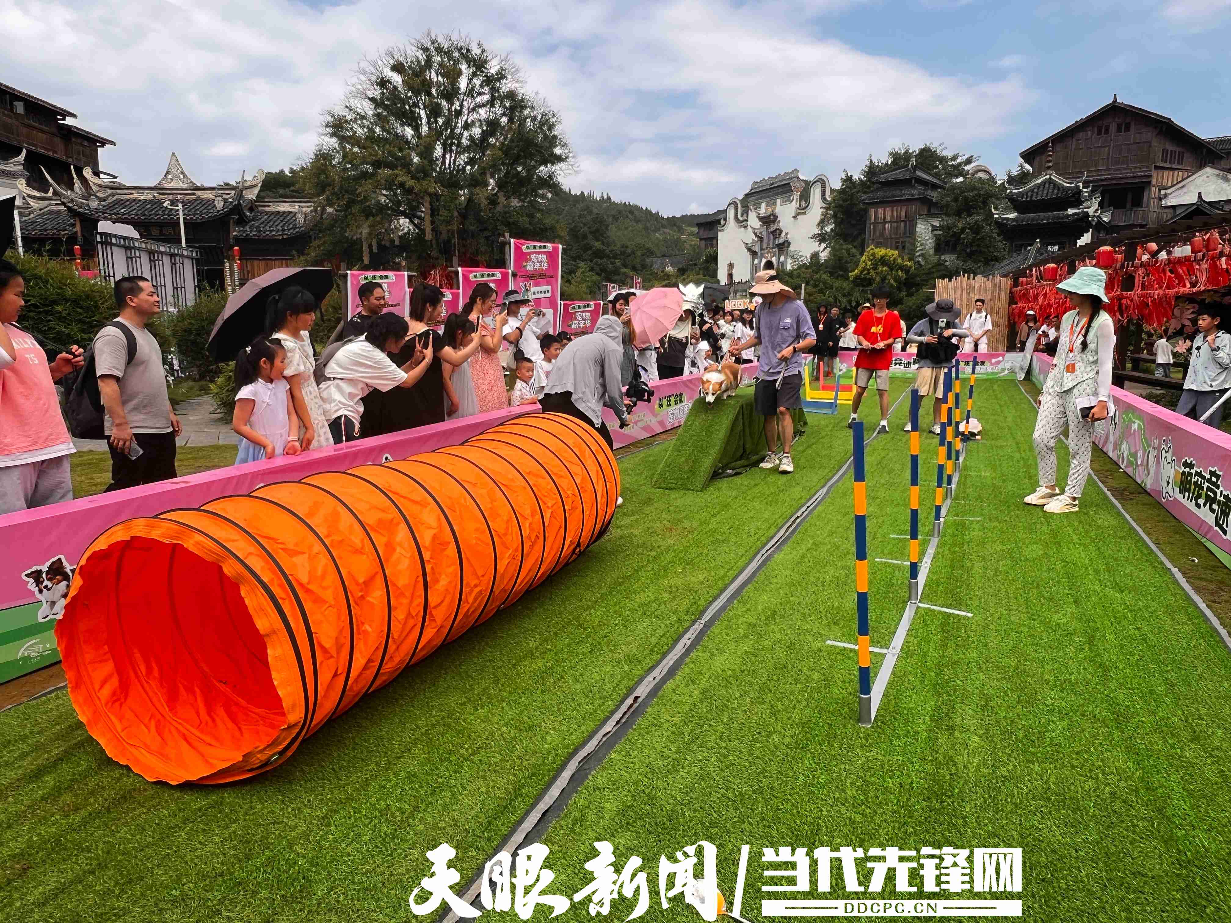 以犬为媒，贵州下司古镇萌宠嘉年华解锁“旺旺IP”融合密码