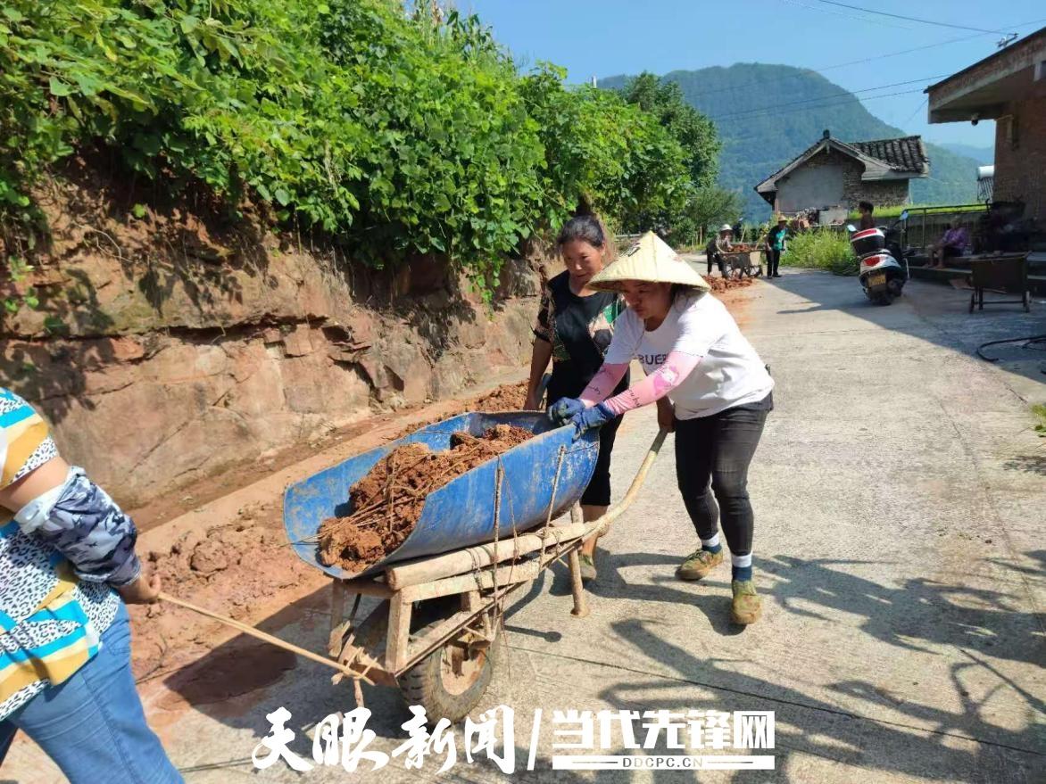 遵义市赤水市元厚镇：干群同心齐动手，众志成城护家园