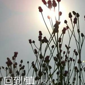 中国内地男歌手胡文亮原创温暖单曲《回到小镇》深情触动