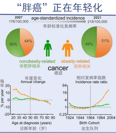 代谢危机下，减又二酯油如何破解传统食用油困局？
