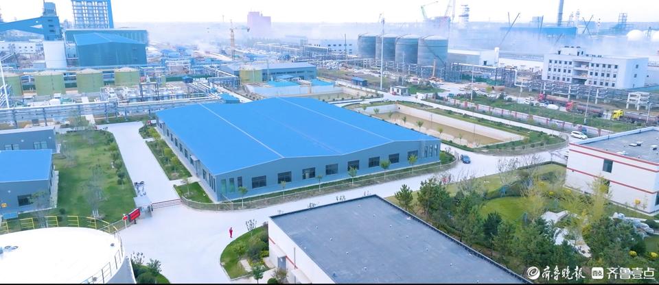 产业链上的山东好品牌 | 德宜：氟树脂赛道上的创新领跑者