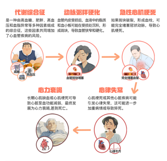 世界心脏日｜心血管事件链环环相扣，健康防线需步步为“赢”
