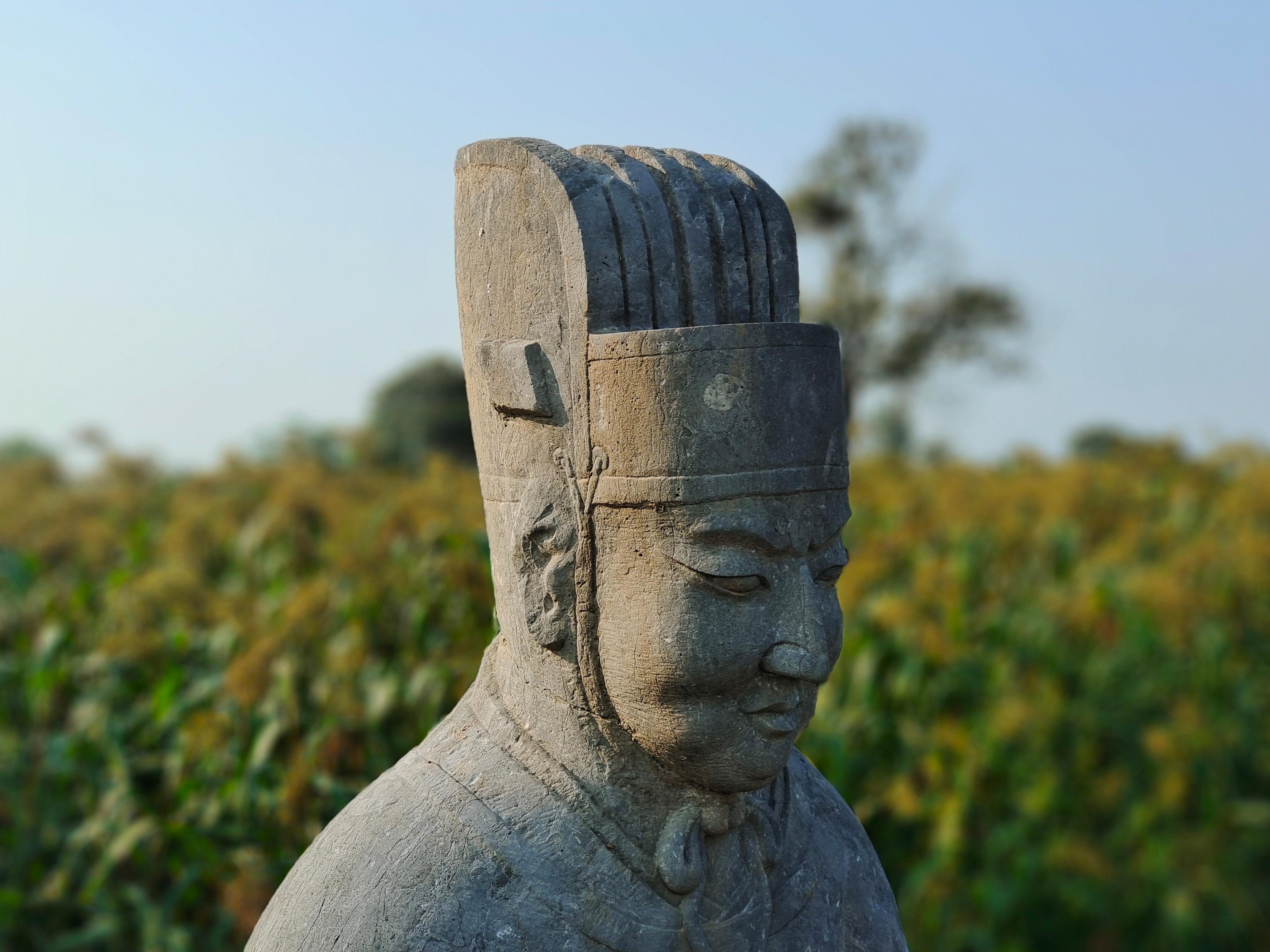 北宋皇陵“上新”，陵区高粱“走红”