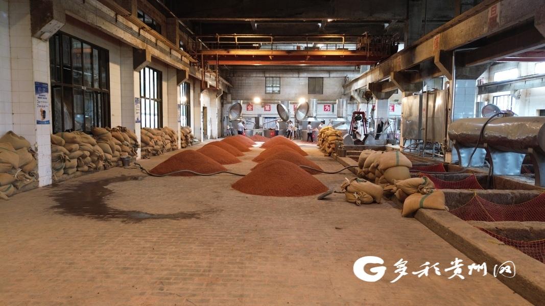 仁怀：重阳下沙正当时 恪守工艺酿造忙