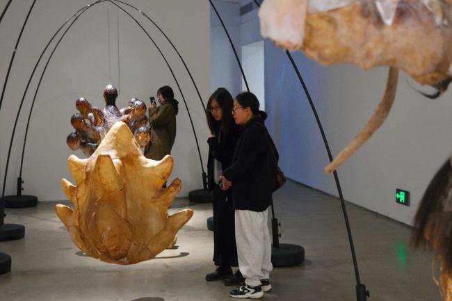 “回旋镖——新一代青年艺术研究展”开展