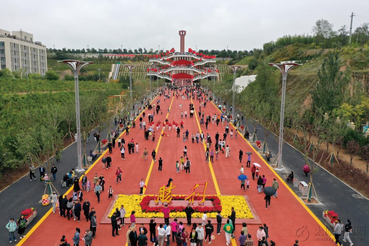 千年繁茂一杏花