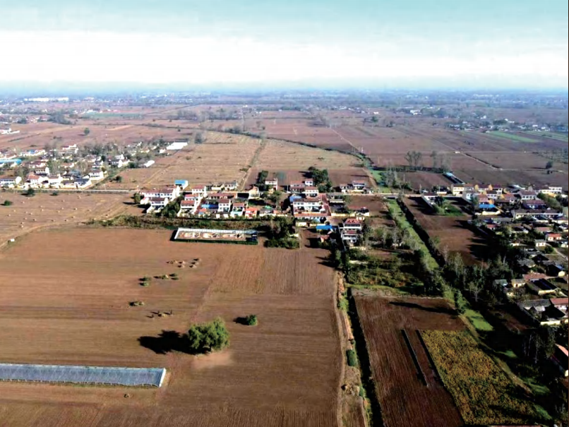 为何说殷商文化起源于商丘？这个展览带你追溯“殷商之源”