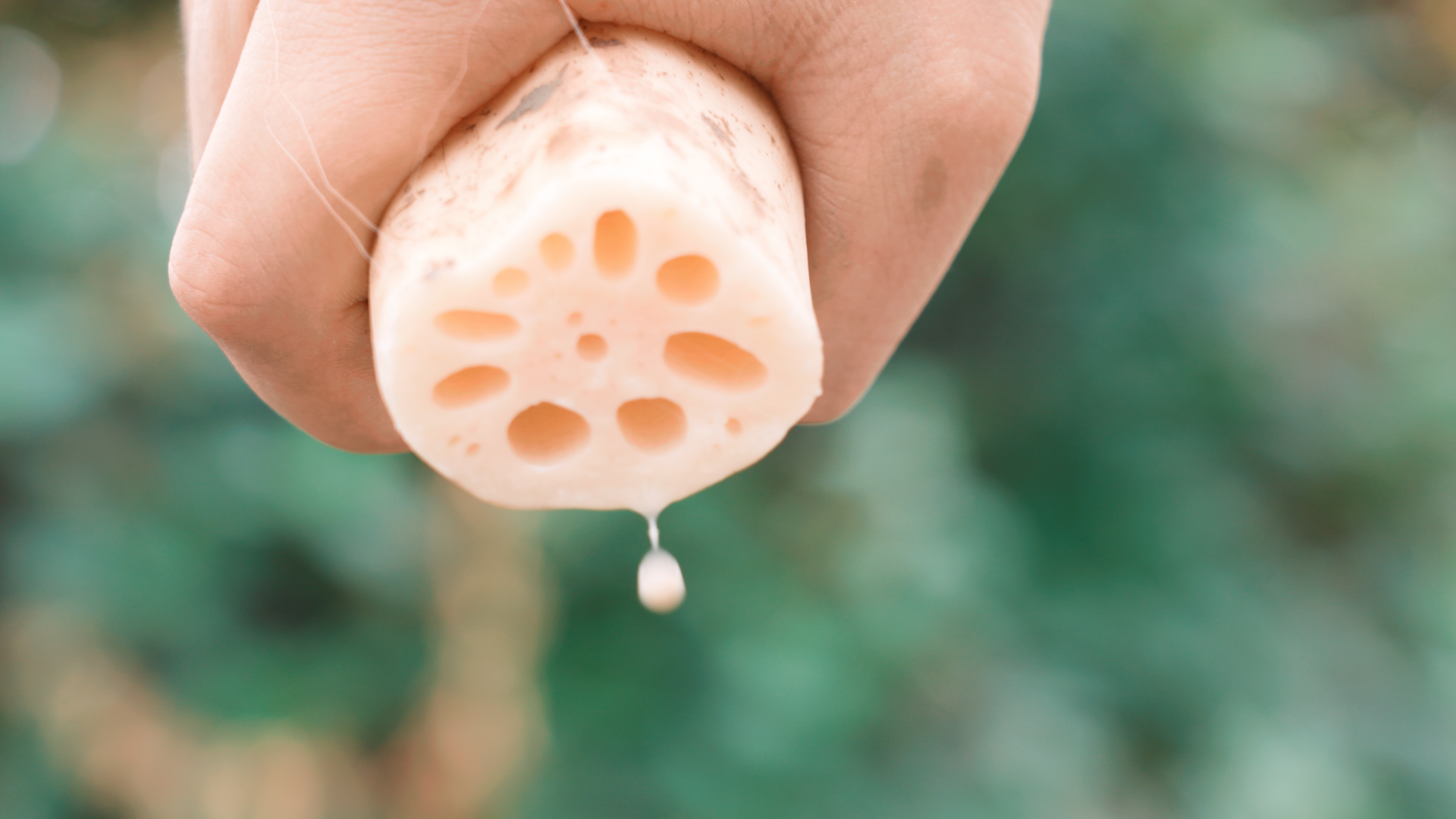 【马上见】排骨藕汤，一味乡愁