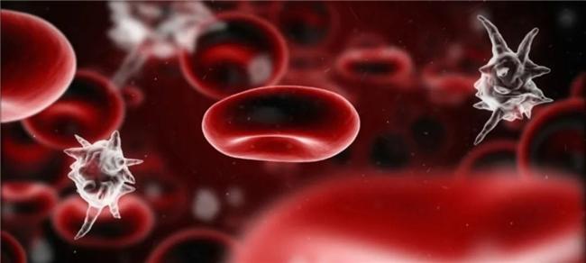 以免疫稳态重建为核心：远大医药STC3141引领脓毒症治疗新方向