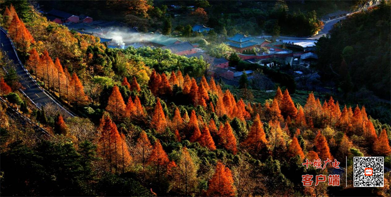 武当山老君洞：一部藏于山林的千年道教石刻史书