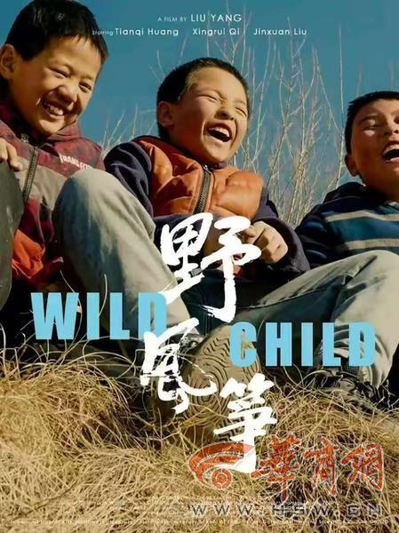 西理工毕业生刘洋斩获国际电影大奖 跨界成长印证多元育人成效