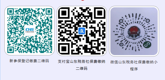 收藏！2026年度烟台市基本医疗保险个人参保缴费流程！