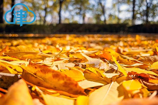 拒绝干燥和过敏！这份科学过冬手册请收好 扫码阅读手机版