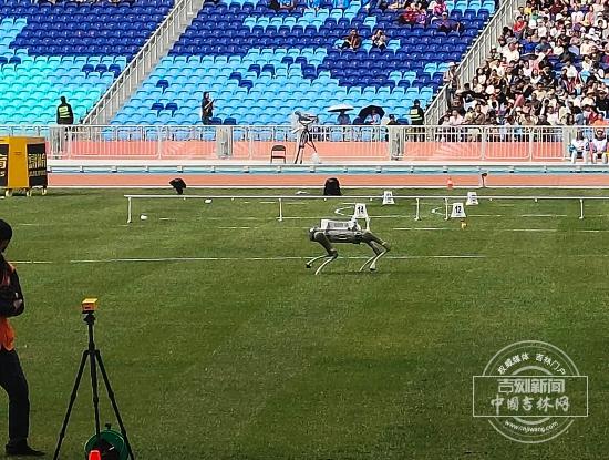 聚焦十五运｜科技赋能赛场 田径演绎“智慧竞技”