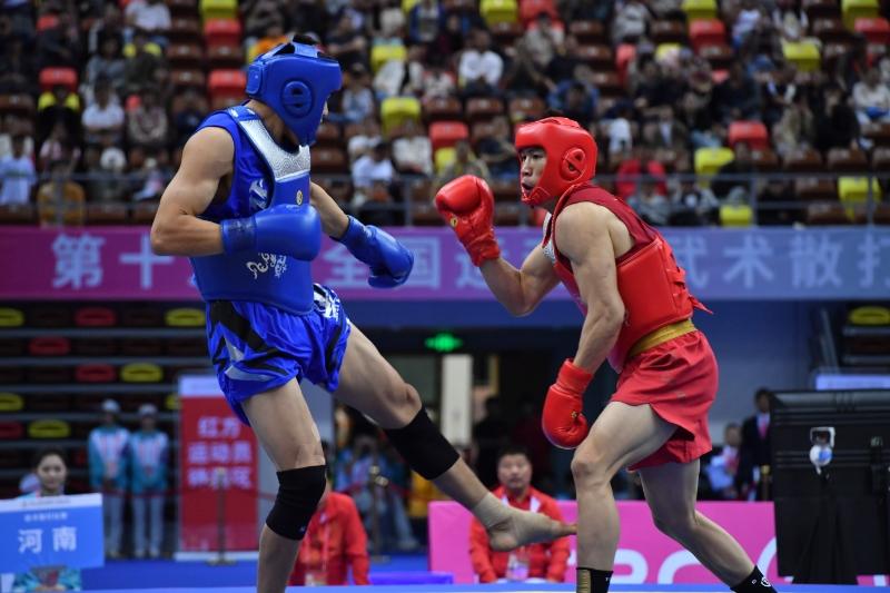 连续三届豪取三金！河南散打续写20年荣耀传奇