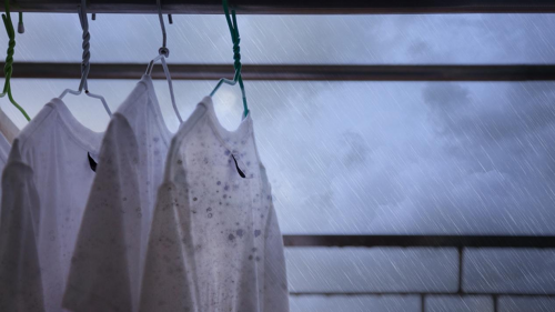 3000小时极限测试：揭秘百奥除湿机稳定表现背后的品质坚守