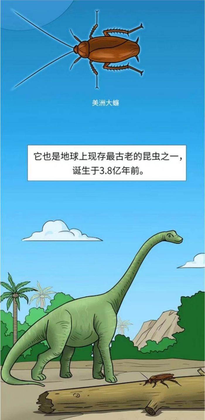 “药用蟑螂”指的原来是它！揭秘网红基地背后的修复密码