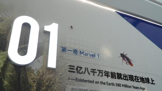 从本草到临床，康复新液带你梳理美洲大蠊的药用传承