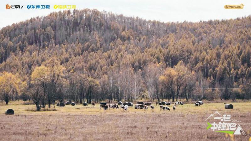 《一起冲锋吧》今日开播，首轮对决一触即发